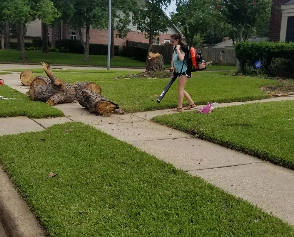 Reliable garden landscaping for homes in Friendswood, TX by Silverback Tree & Landscaping