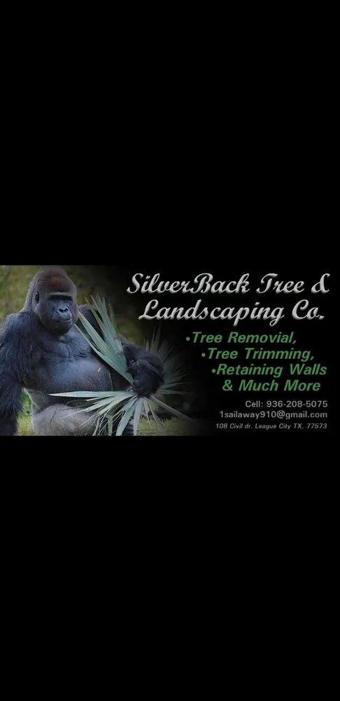 Local landscape installation experts serving Friendswood, TX - Silverback Tree & Landscaping