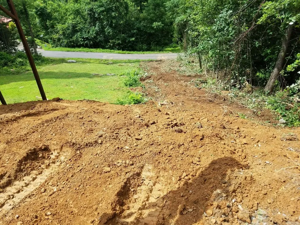 Expert outdoor landscaping experts serving Friendswood, TX - Silverback Tree & Landscaping