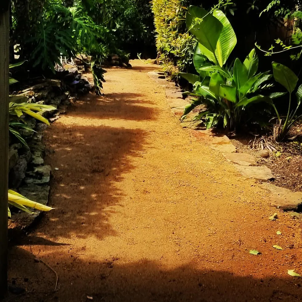 Affordable residential landscaping in Friendswood, TX by Silverback Tree & Landscaping