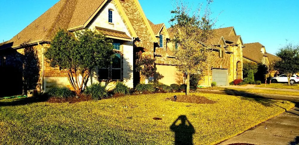 Custom landscape design in Friendswood, TX by Silverback Tree & Landscaping