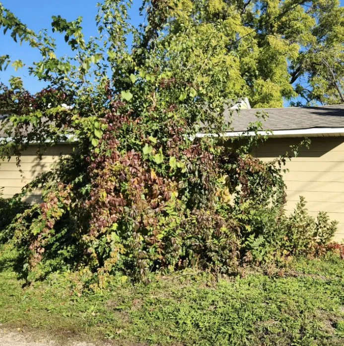 Local yard maintenance for outdoor upgrades across Saint Paul, MN - SilverBlade Lawn and Landscape