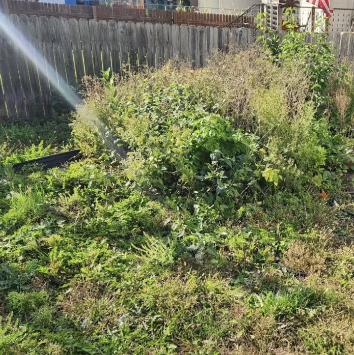 Affordable outdoor landscaping near you across Saint Paul, MN - SilverBlade Lawn and Landscape