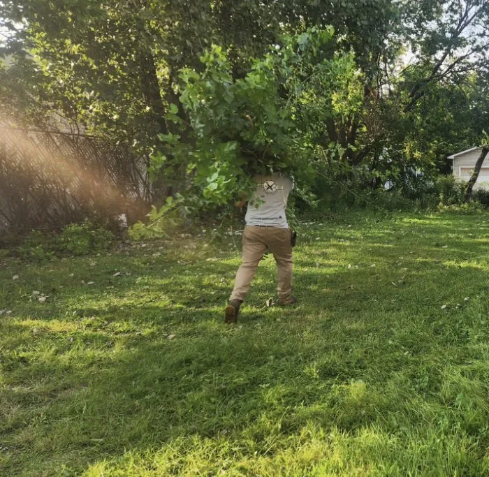 Custom yard maintenance experts serving Saint Paul, MN - SilverBlade Lawn and Landscape