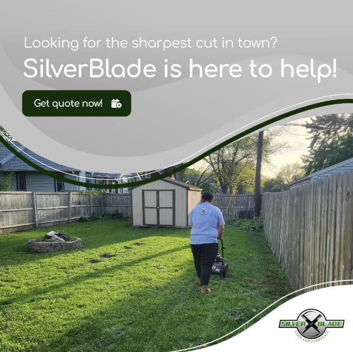 Expert outdoor landscaping in Saint Paul, MN by SilverBlade Lawn and Landscape