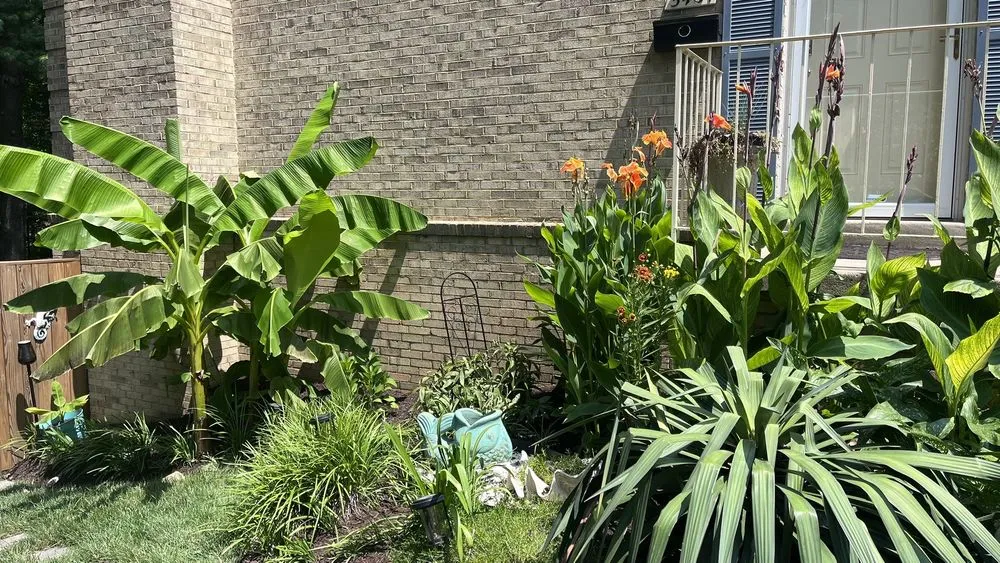 Reliable outdoor landscaping for beautiful yards in Lorton, VA by Silverbrook Nursery & Landscaping