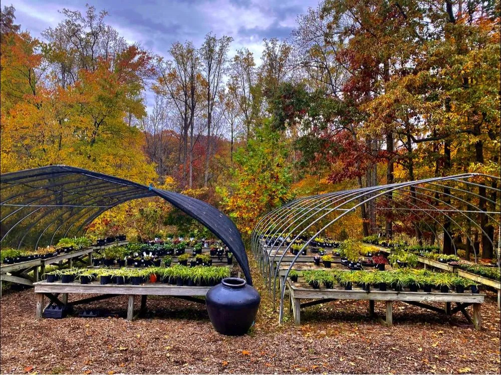 Professional landscape installation with custom design in Lorton, VA by Silverbrook Nursery & Landscaping