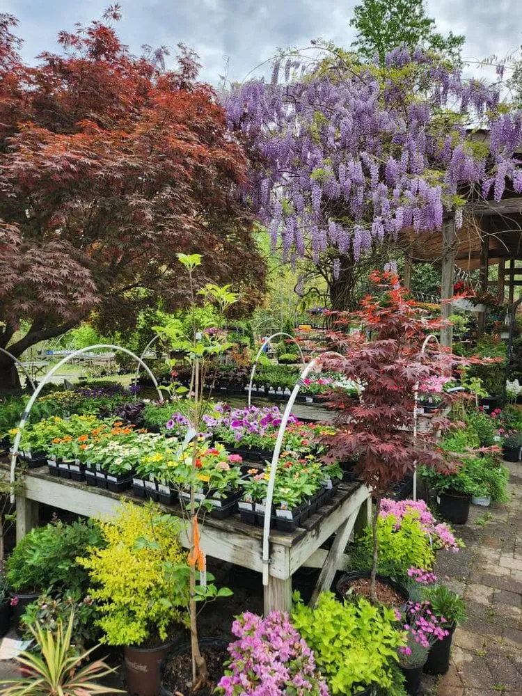 Trusted lawn mowing service in Lorton, VA by Silverbrook Nursery & Landscaping