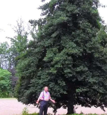 Trusted landscape design for residential properties in Lorton, VA by Silverbrook Nursery & Landscaping