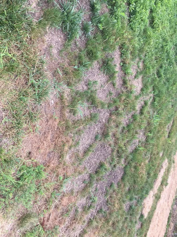 Trusted landscape design experts serving Lorton, VA - Silverbrook Nursery & Landscaping