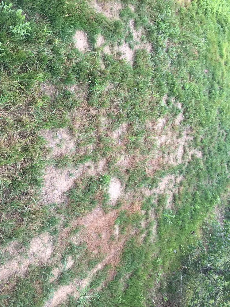 Affordable landscape design in Lorton, VA - Silverbrook Nursery & Landscaping