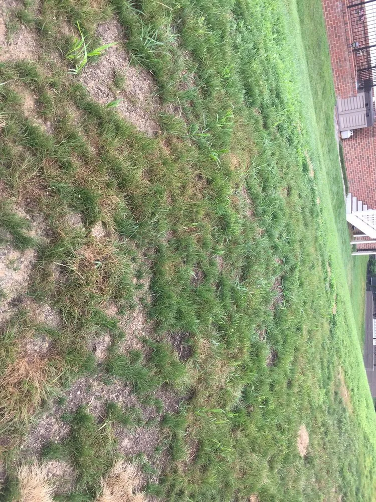 Professional garden landscaping experts serving Lorton, VA - Silverbrook Nursery & Landscaping