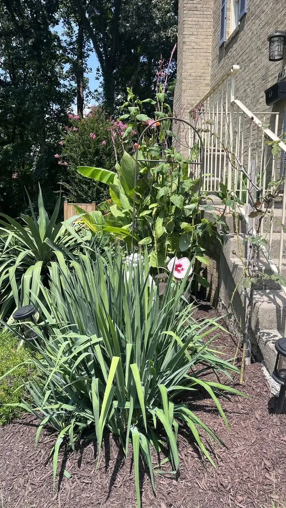 Expert yard cleanup service experts serving Lorton, VA - Silverbrook Nursery & Landscaping