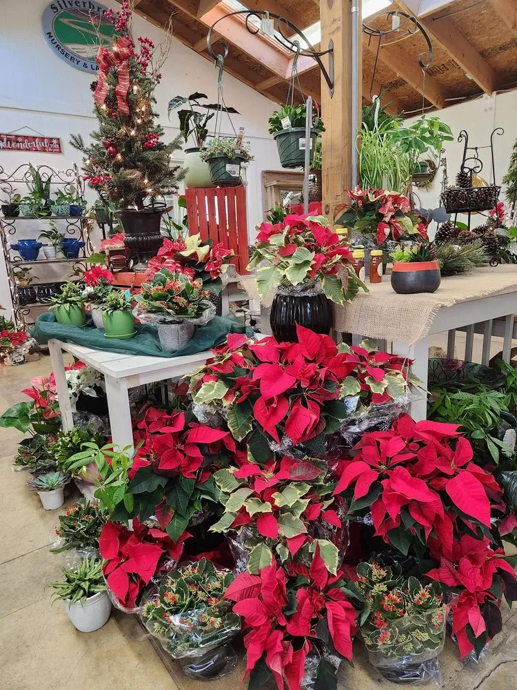 Expert residential landscaping for homes in Lorton, VA by Silverbrook Nursery & Landscaping