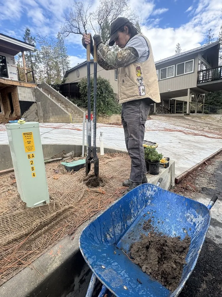 Expert yard cleanup service experts serving Oakhurst, CA - Silverfox Gardens