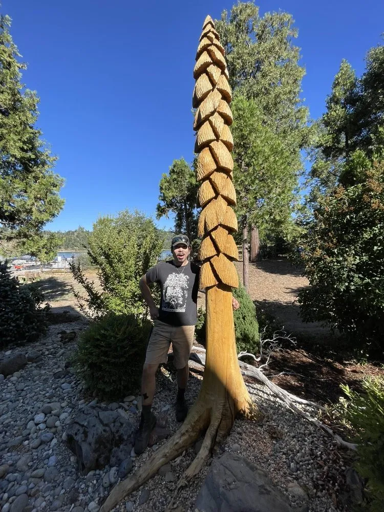 Affordable landscape installation for homes across Oakhurst, CA - Silverfox Gardens