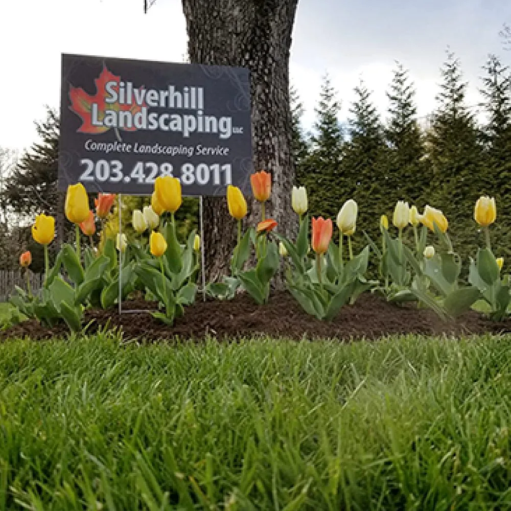 Local landscaping services in Trumbull, CT by Silverhill Landscaping