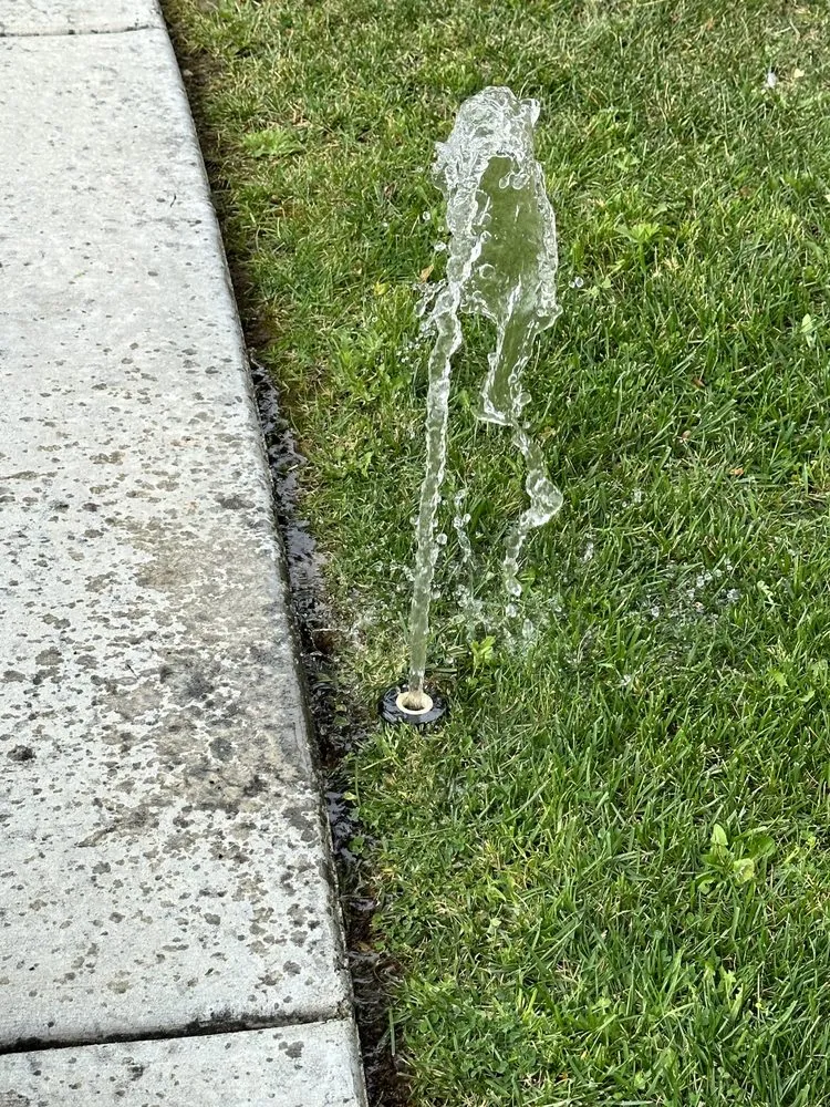 Local lawn mowing service experts serving Escondido, CA - Silverio Landscaping Services