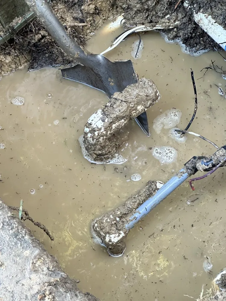 Professional outdoor landscaping in Escondido, CA - Silverio Landscaping Services