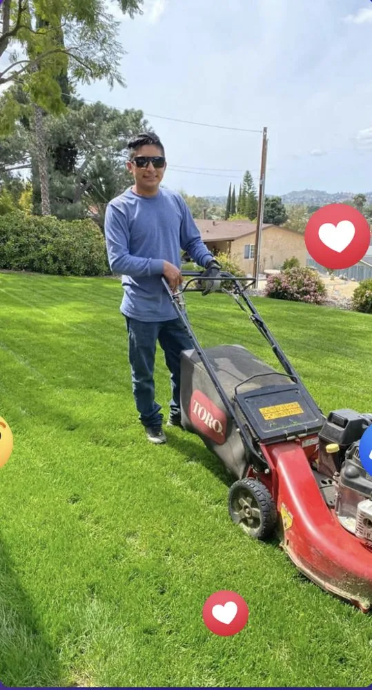 Local yard cleanup service for residential properties in Escondido, CA by Silverio Landscaping Services
