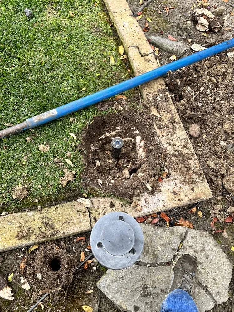 Local yard maintenance for beautiful yards in Escondido, CA by Silverio Landscaping Services