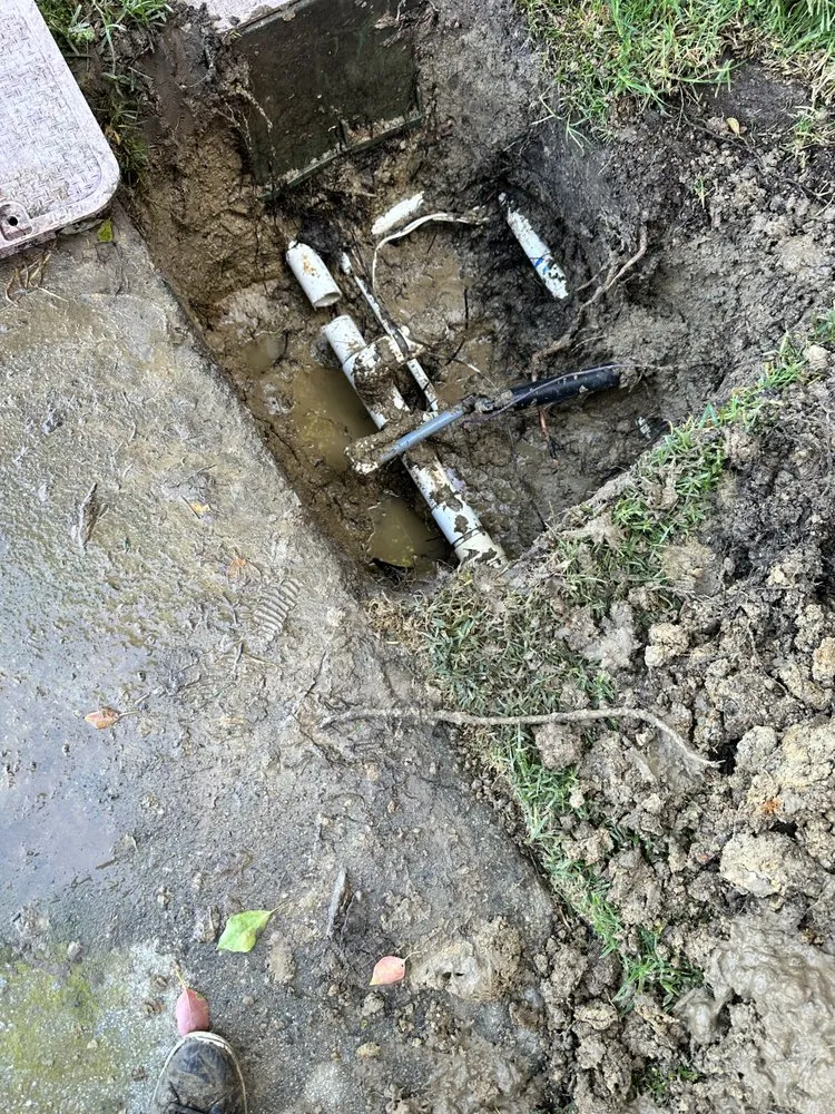 Affordable yard cleanup service experts serving Escondido, CA - Silverio Landscaping Services