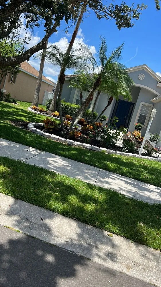 Reliable landscaping services for year-round maintenance across Palmetto, FL - Silverio Tree Service