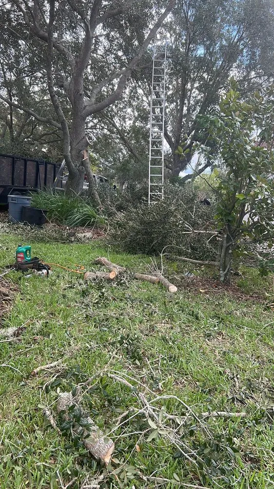 Trusted landscape design for homes across Palmetto, FL - Silverio Tree Service