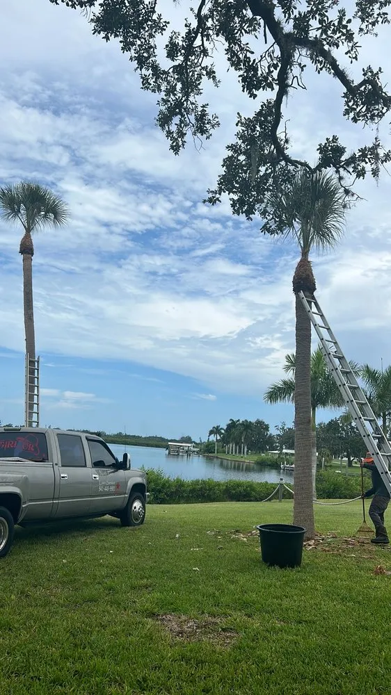 Custom lawn care service experts serving Palmetto, FL - Silverio Tree Service