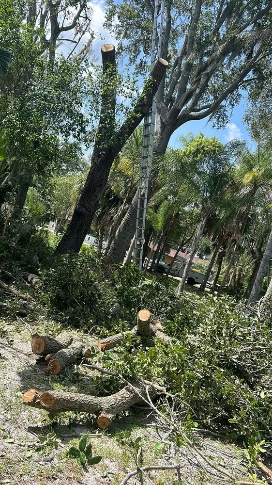 Affordable garden landscaping for homes across Palmetto, FL - Silverio Tree Service