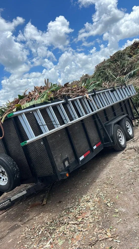 Affordable yard maintenance in Palmetto, FL by Silverio Tree Service