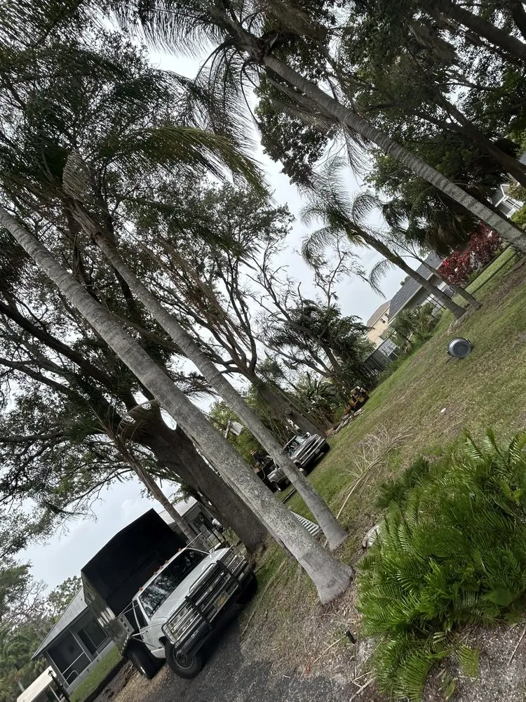 Top-rated garden landscaping for beautiful yards in Palmetto, FL by Silverio Tree Service