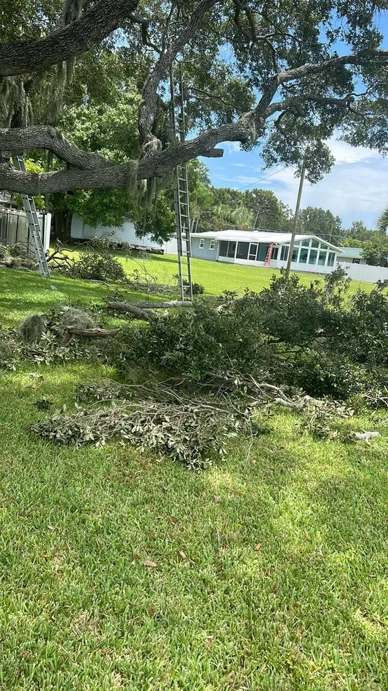 Professional yard cleanup service for outdoor upgrades across Palmetto, FL - Silverio Tree Service