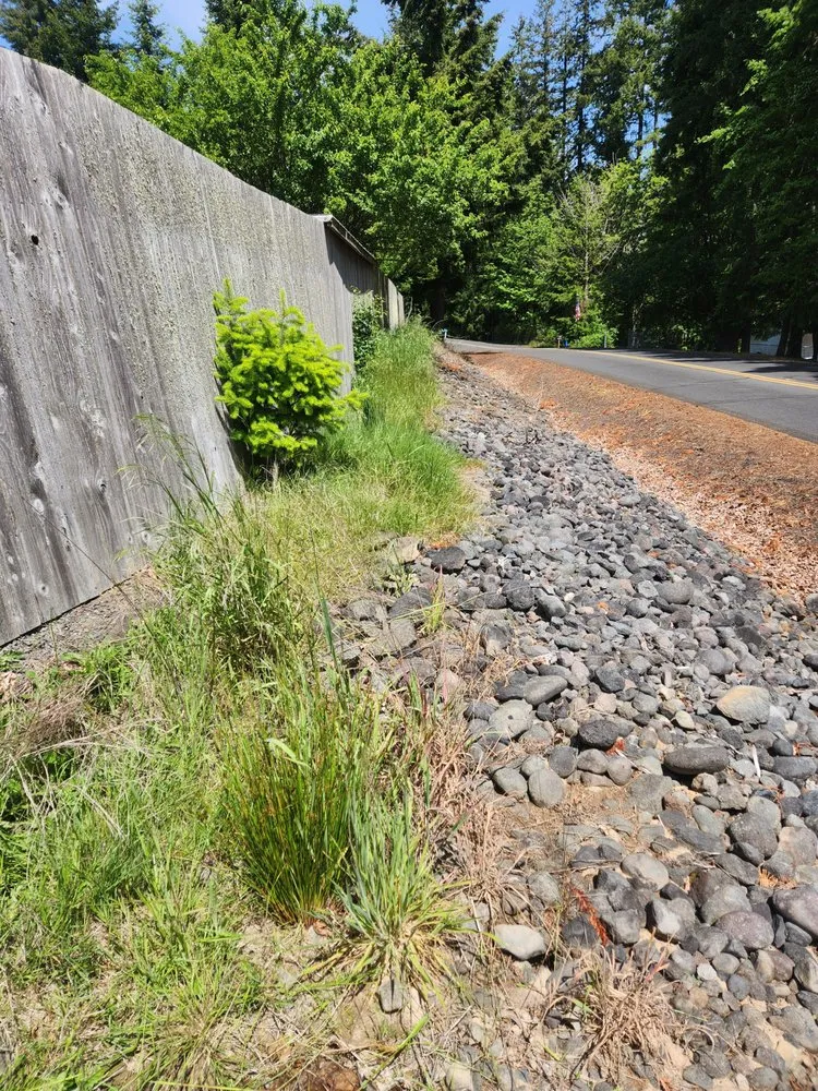 Custom lawn care service experts serving Silver Lake, WA - Silverlake Landscaping