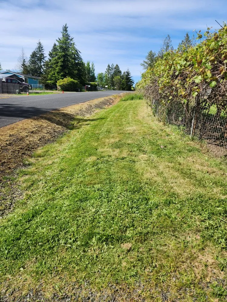 Top-rated landscape installation in Silver Lake, WA - Silverlake Landscaping