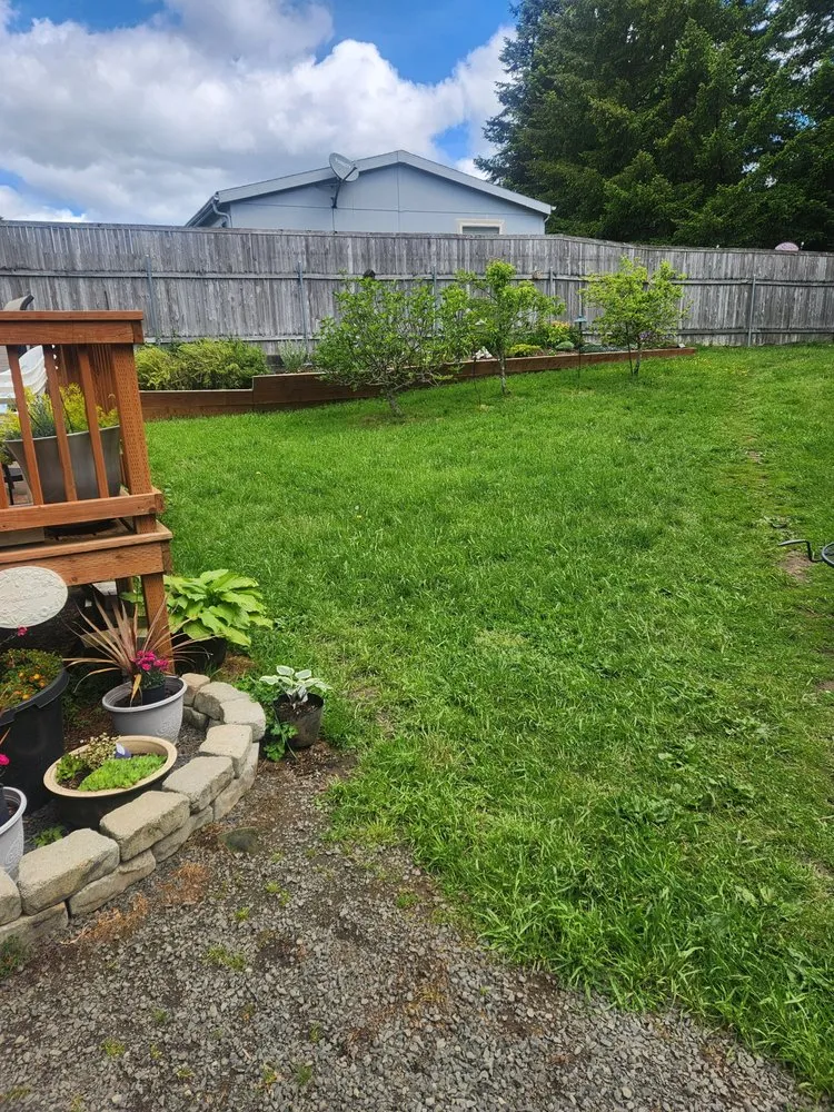 Professional lawn care service experts serving Silver Lake, WA - Silverlake Landscaping