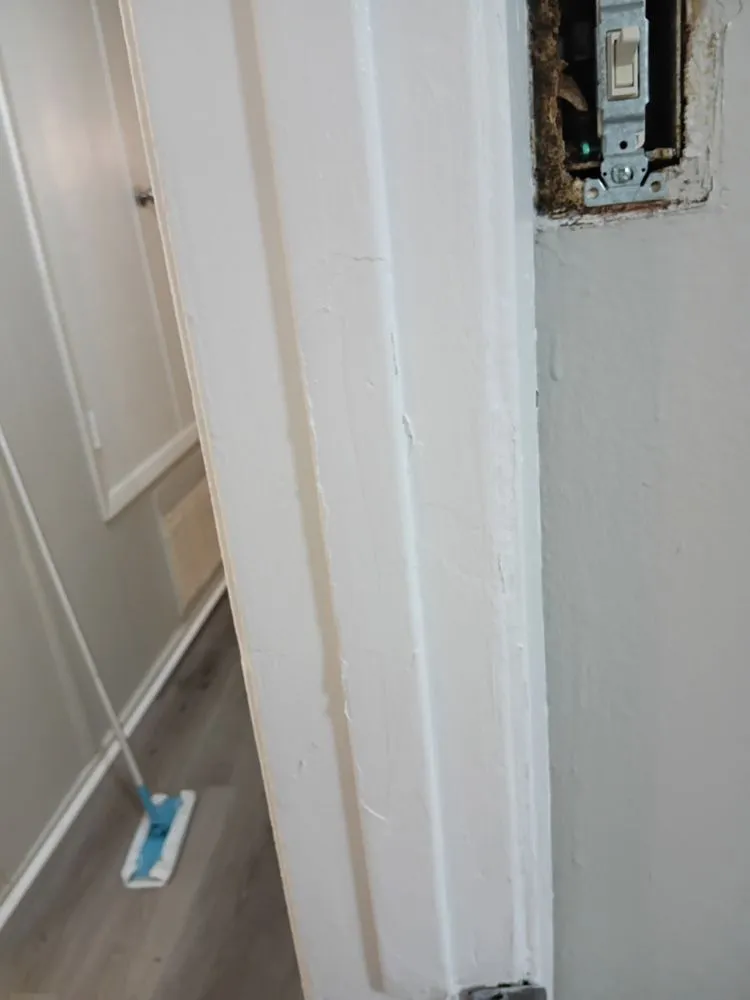 Affordable landscaping services for outdoor upgrades in West Monroe, LA by Silverline Handyman Services