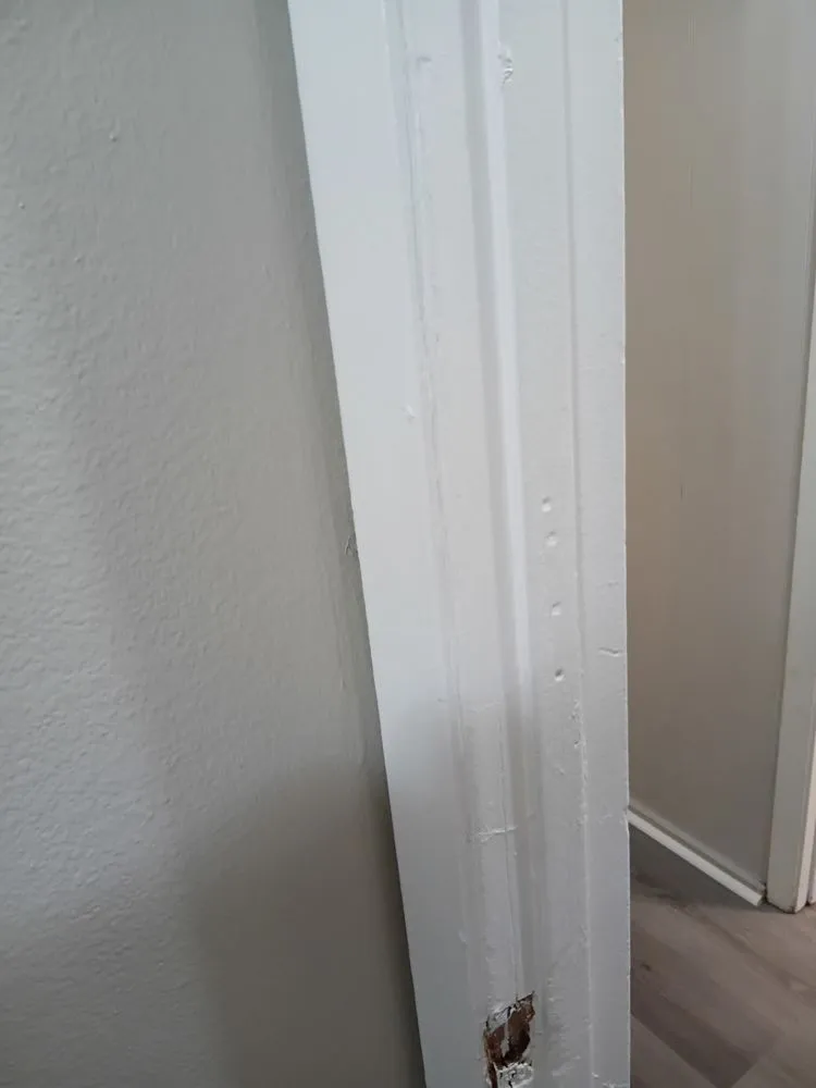 Trusted lawn mowing service in West Monroe, LA by Silverline Handyman Services