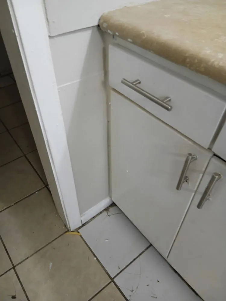 Custom landscape design for homes across West Monroe, LA - Silverline Handyman Services