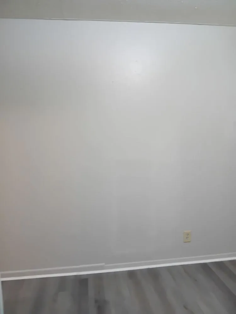 Expert yard cleanup service in West Monroe, LA by Silverline Handyman Services