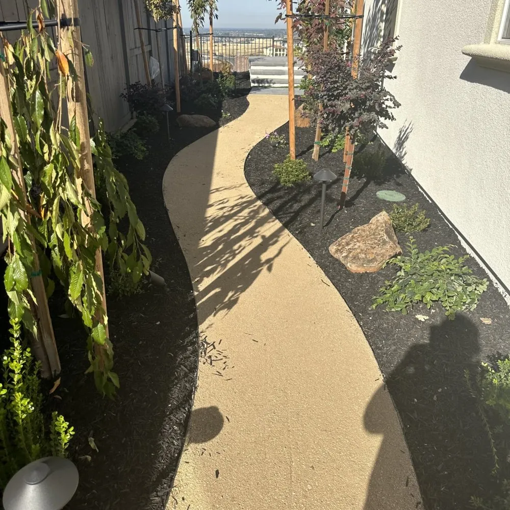 Top-rated lawn care service in Elverta, CA by Silvers Landscaping