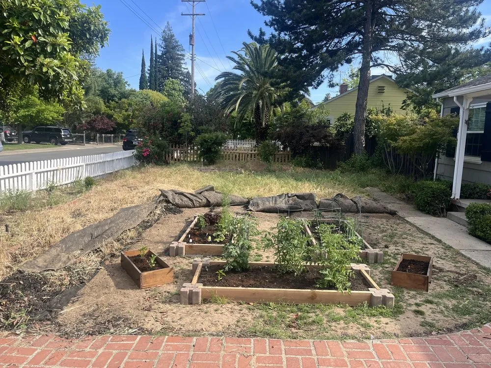 Trusted lawn care service in Elverta, CA by Silvers Landscaping