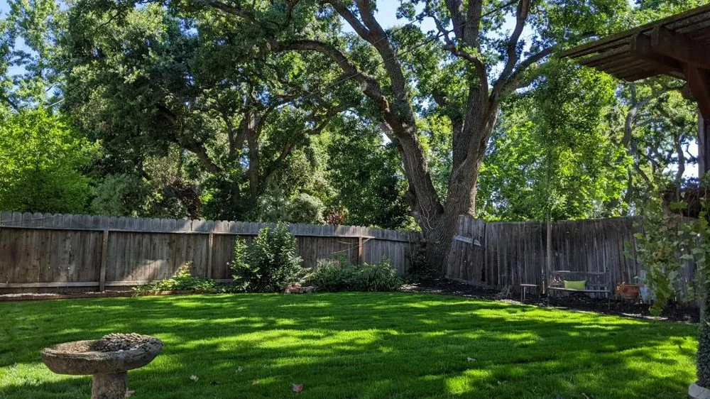 Affordable outdoor landscaping in Elverta, CA by Silvers Landscaping