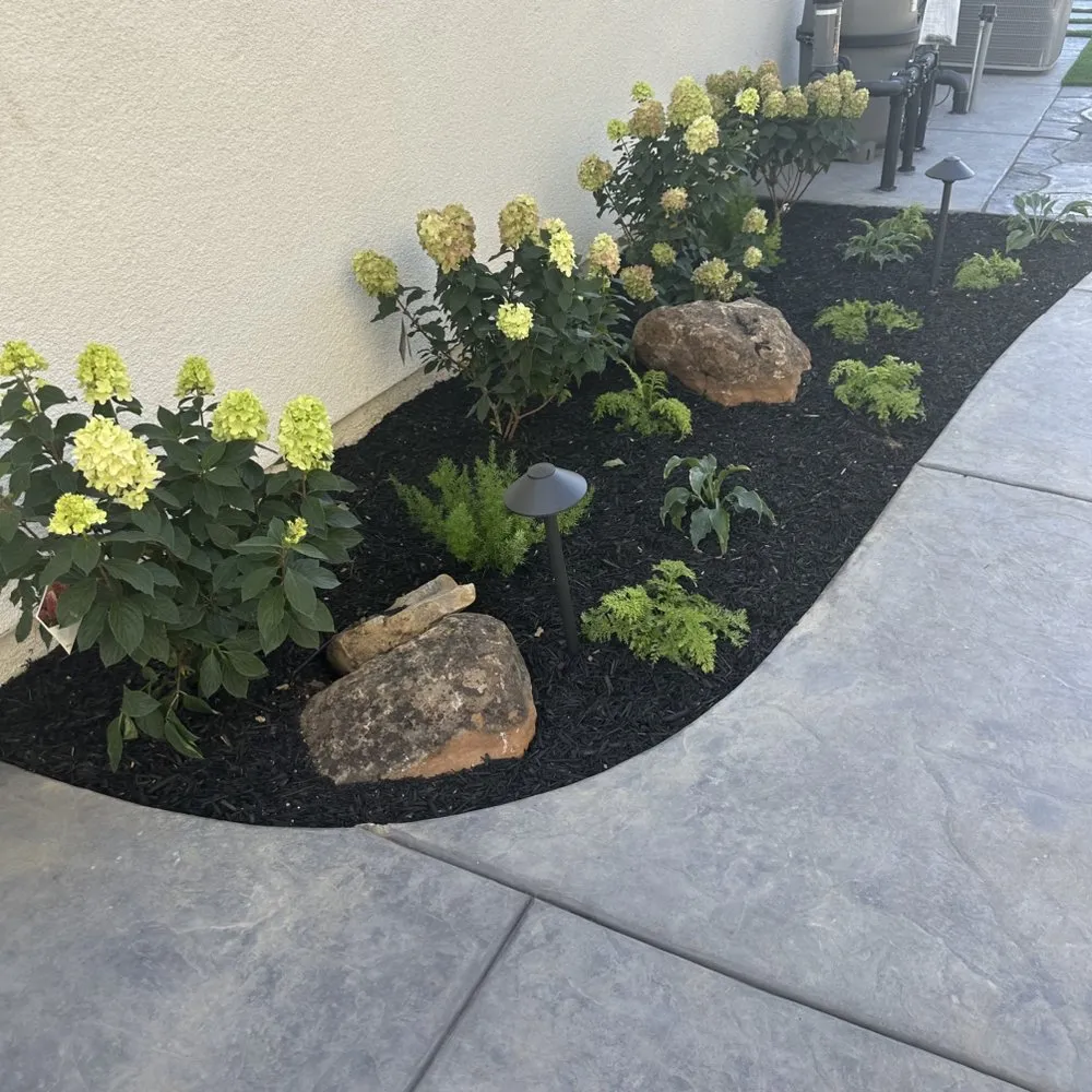 Professional yard cleanup service in Elverta, CA - Silvers Landscaping