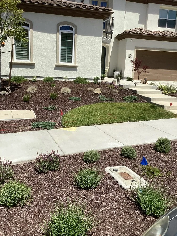 Reliable yard cleanup service in Elverta, CA by Silvers Landscaping