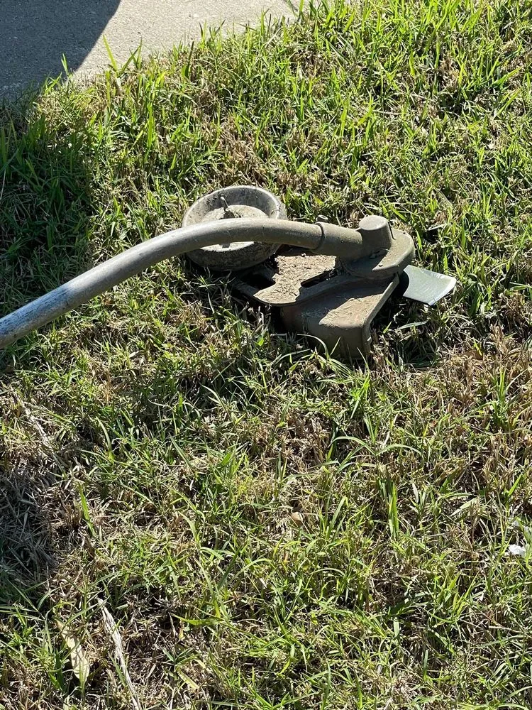 Reliable yard cleanup service in Houston, TX - Silversand Services