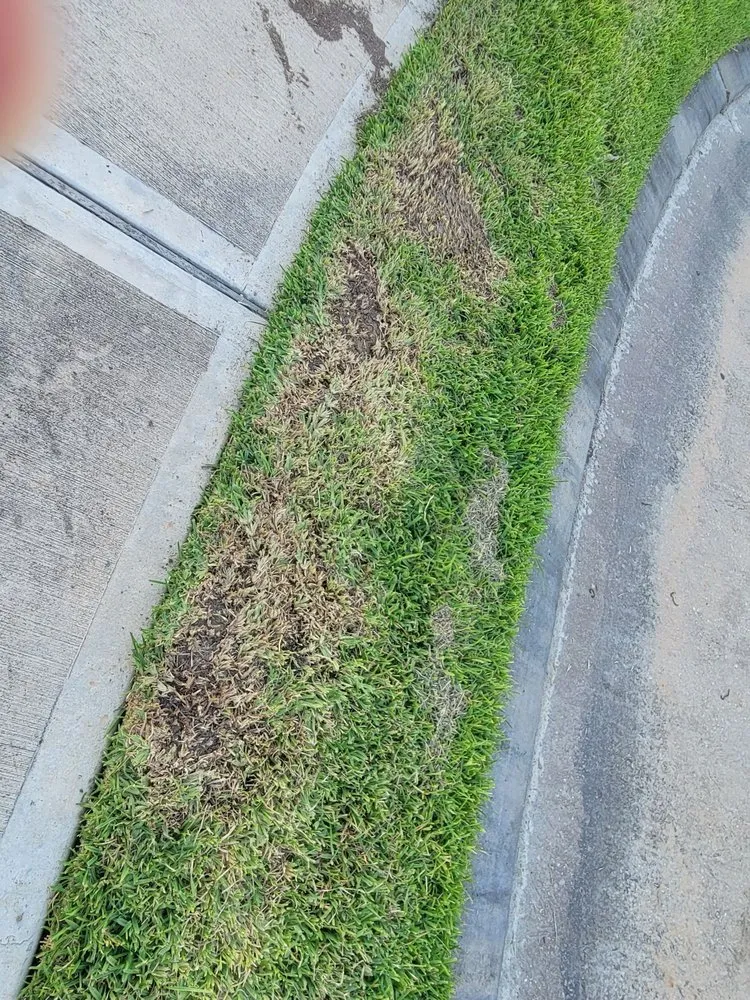 Professional lawn mowing service in Houston, TX by Silversand Services