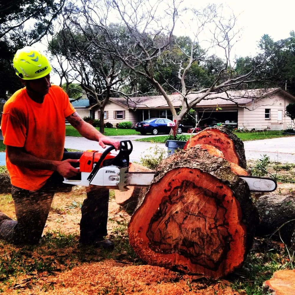 Trusted landscaping services for beautiful yards in Seminole, FL by Silverson Tree and Landscape