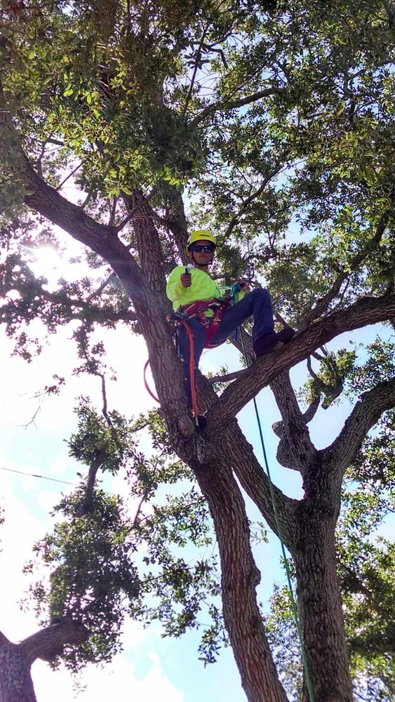 Expert garden landscaping in Seminole, FL - Silverson Tree and Landscape