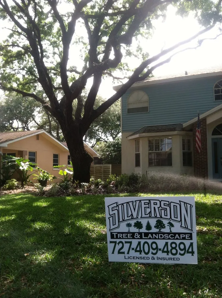 Top-rated outdoor landscaping experts serving Seminole, FL - Silverson Tree and Landscape